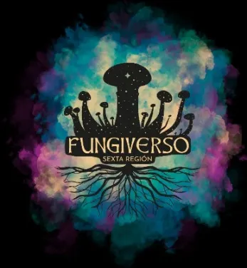 Festival Fungiverso en Graneros - Fiestas y Comida en Graneros