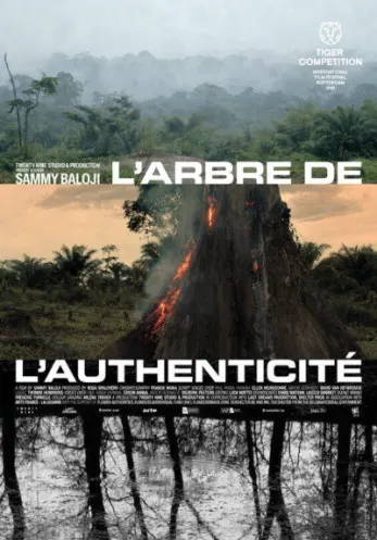El árbol de la autenticidad, cine con causa social - Arte y Cultura en Santiago