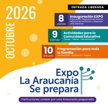 Expo en Parque Sofo - Comunidad y Talleres en Temuco