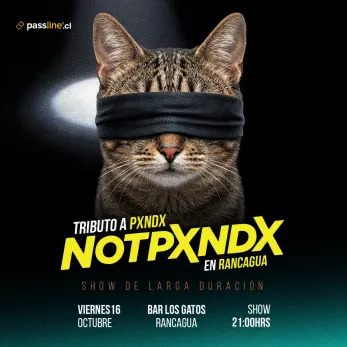 Tributo a PXNDX con NOTPXNDX - Musica y Show en Vivo en Rancagua